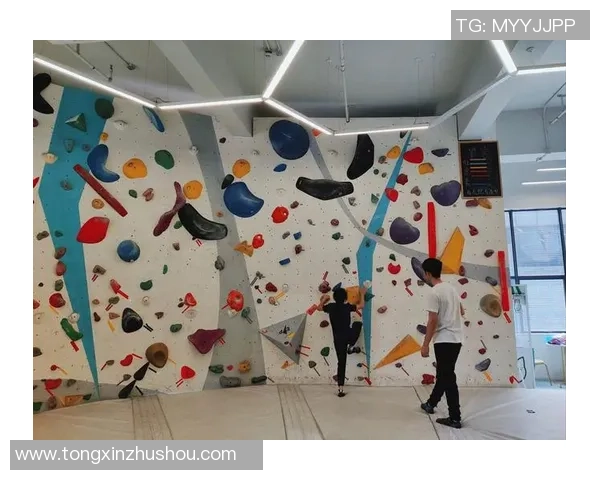 成都攀岩队个人能力提升之路探索与实践分享